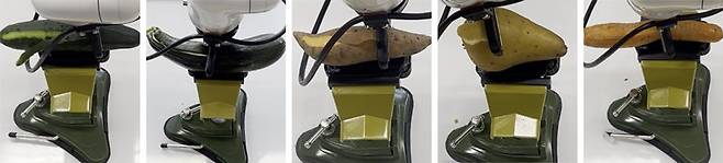 스위스 로잔연방공대(EPFL) 연구팀의 로봇이 크기와 형태가 다른 오이, 호박, 고구마, 감자, 당근 껍질을 벗기고 있다. 젬 빌랄로을루 교수 제공