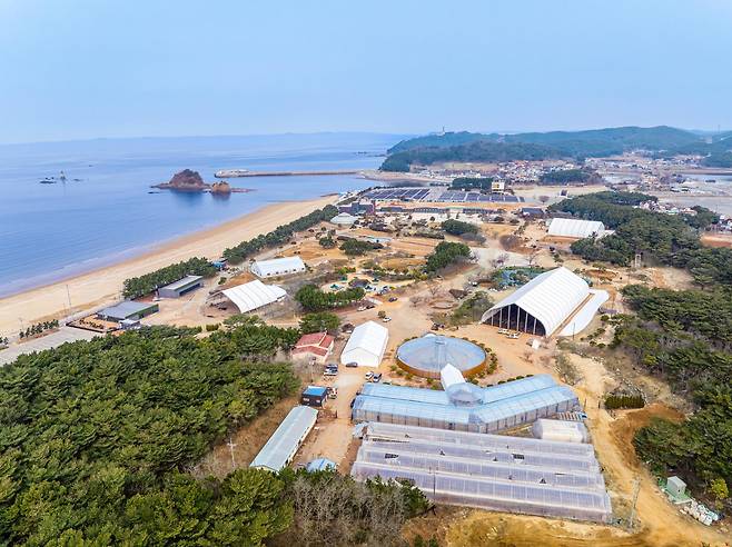 2026 태안국제원예치유박람회 행사장 전경.