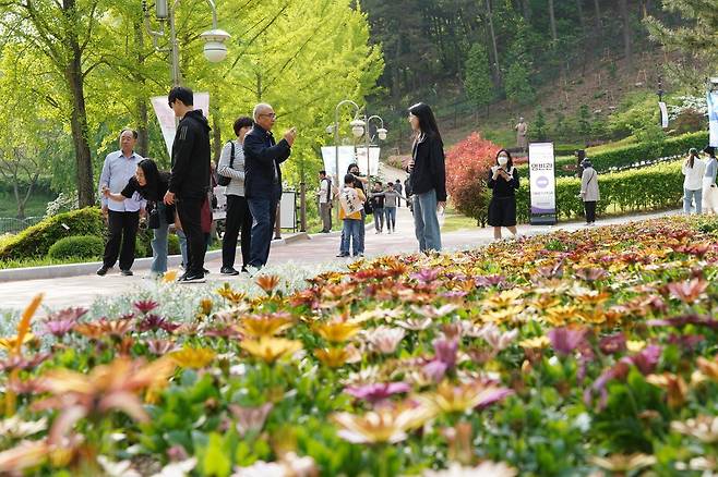 청남대 대표 축제 ‘영춘제’가 5월 6일까지 청남대 일원에서 열린다. 지난달 개통한 모노레일과 연계해 관람 편의성을 높였다. 청남대관리사업소 제공