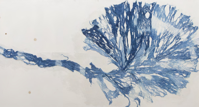 양태모 작  / A biue face 116.8 × 91.0 Acrylic/Crystal 2024