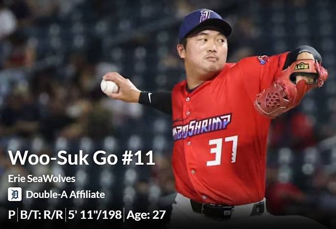 고우석. 사진=milb 캡처