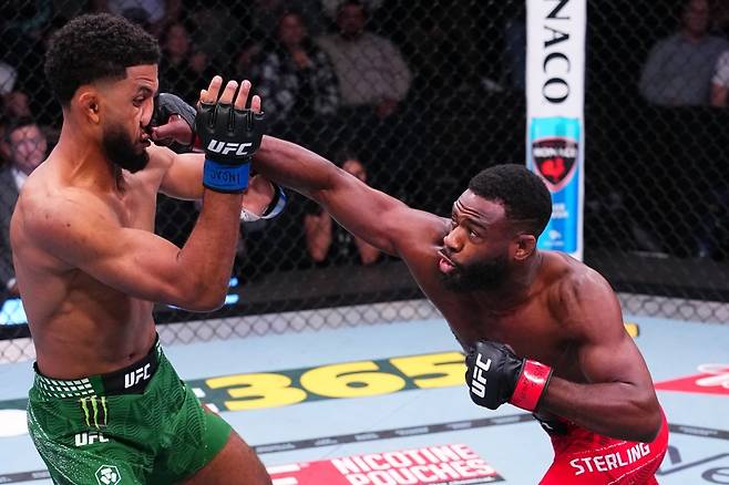 26일 미국 네바다주 라스베이거스 메타 에이펙스에서 열린 ‘UFC 파이트 나이트: 스털링 vs 잘랄’ 메인 이벤트에서 알저메인 스털링(오른쪽)이 강력한 라이트 스트레이트로 유세프 잘랄의 턱을 짓누르고 있다. [UFC 제공]