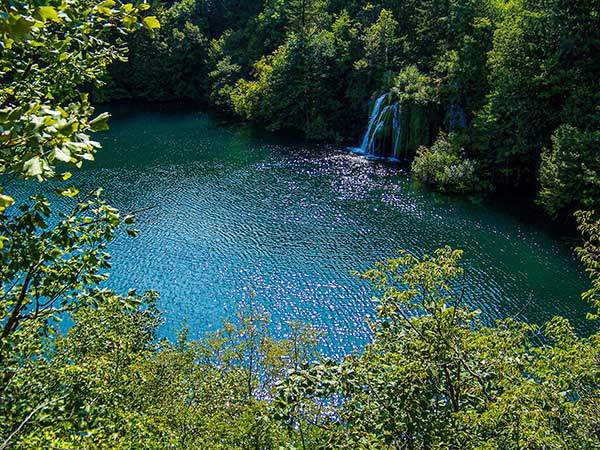 고요한 수면에 반짝이는 윤슬 잔잔한 수면에 물고기 비늘 같은 무늬가 깔리고, 거기에 햇빛이 비쳐 하얀 윤슬이 반짝이고 있다. 흩뿌려진 꽃잎처럼 보인다.