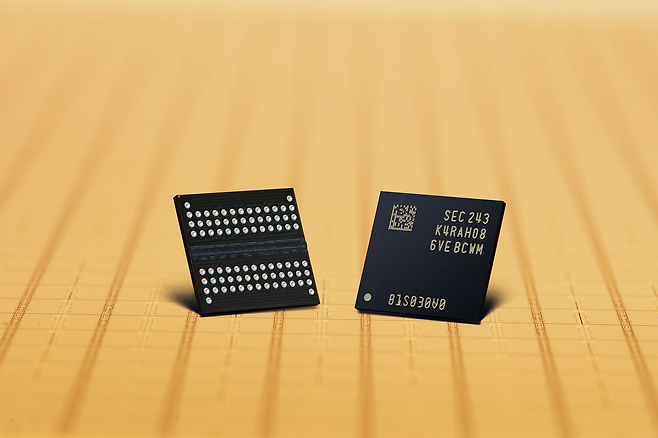 삼성전자의 DDR5 모습. DDR5는 대표적인 범용 D램 중 하나다. 삼성전자