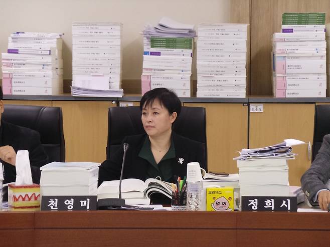 천영미 전 경기도의원  : 사진 제공 = 경기도의회