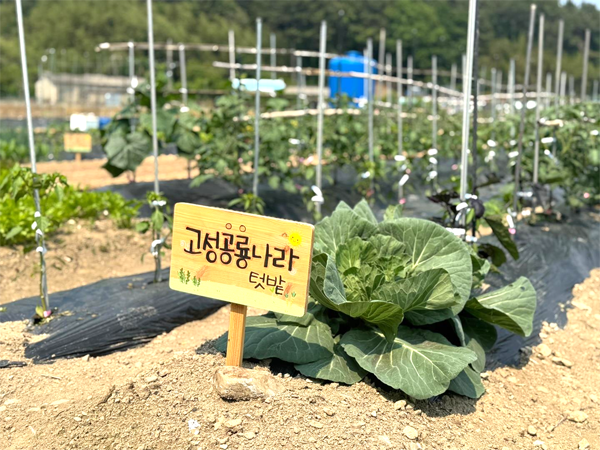 고성공룡나라 텃밭 모습. / 고성군