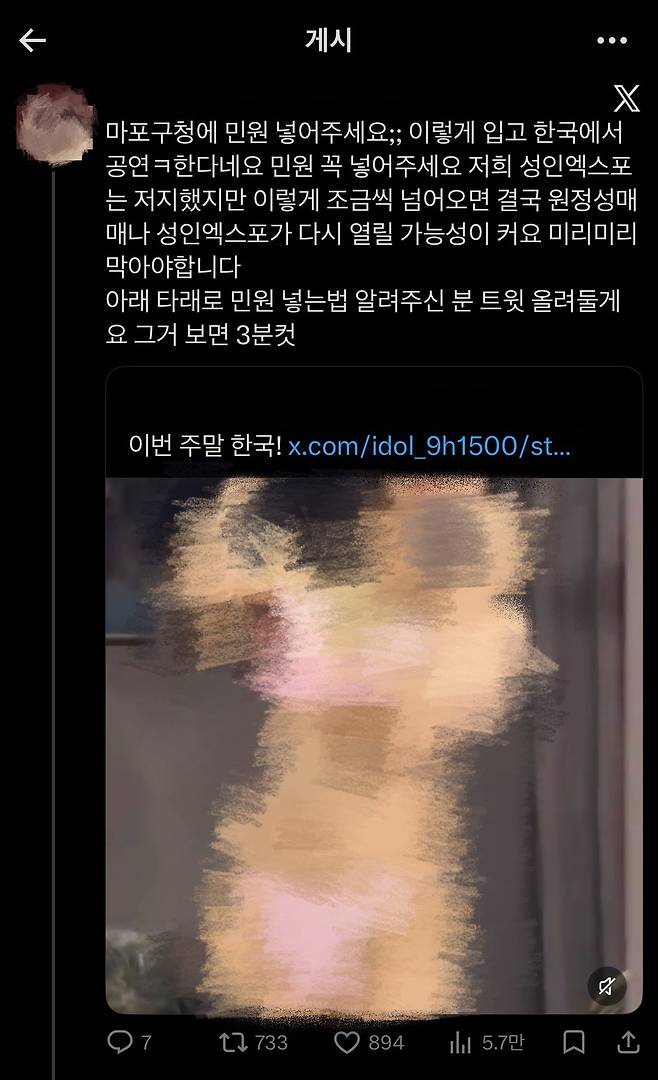 지난 24일 소셜미디어(SNS)에 선정적 복장의 지하돌 공연을 비판하는 게시물이 올라와 있다. /X 캡처