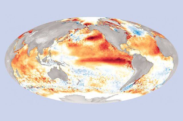 2016년 엘니뇨 발생 시기의 전 세계 해수면 온도 편차. 빨간색은 해수면 온도가 평년보다 높은 지역을, 파란색은 평년보다 낮은 지역을 나타낸다. 남아메리카에서 서쪽으로 길게 뻗어 있는 붉은색 모양은 엘니뇨 현상과 관련된 전형적인 온난화 패턴이다. 미국 연방해양대기청