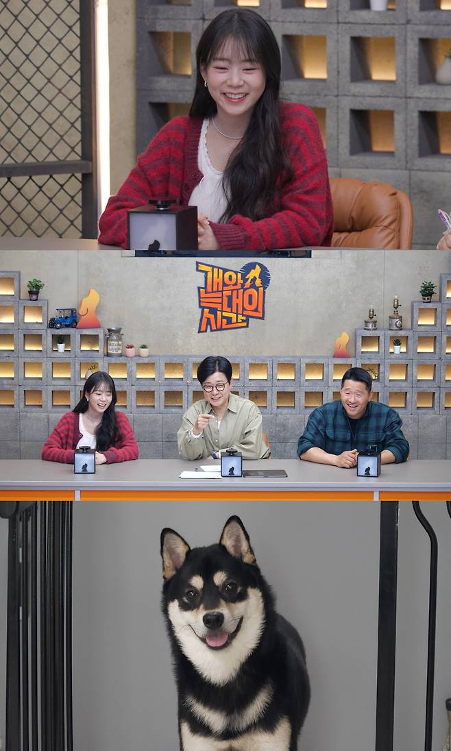 사진=채널A