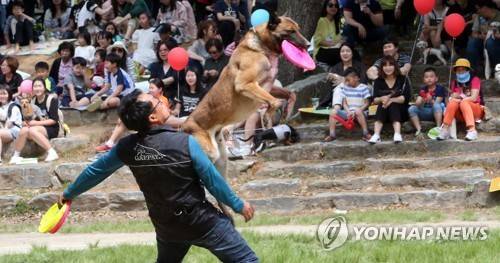 어린이날 펼쳐진 반려동물 행사 [연합뉴스 자료사진]