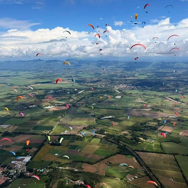패러글라이딩 대회 장면. /허석주