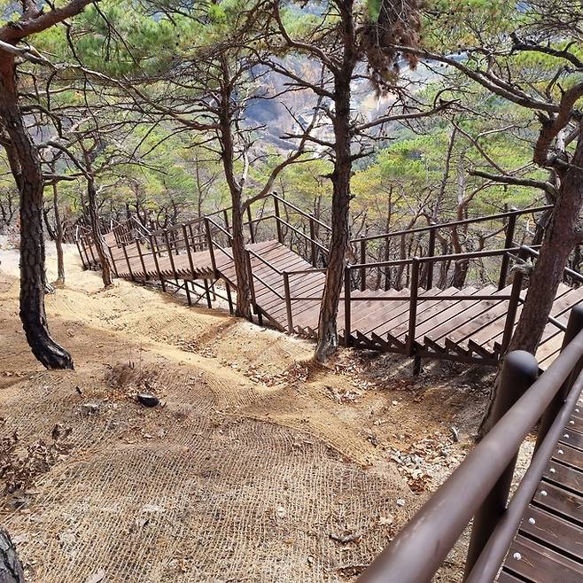 ▲ 산불로 훼손된 주왕산국립공원 탐방로 구간에 목재 계단이 새롭게 마련됐다. 주왕산국립공원 제공