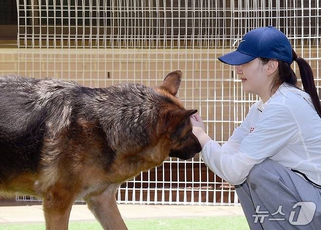 로얄캐닌 임직원은 4월 동물보호소 봉사활동을 진행했다(로얄캐닌 제공). ⓒ 뉴스1