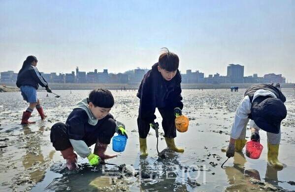 오이도 어촌체험휴양마을 갯벌체험에 참가해 조개 캐는 아이들/ 사진-시흥시