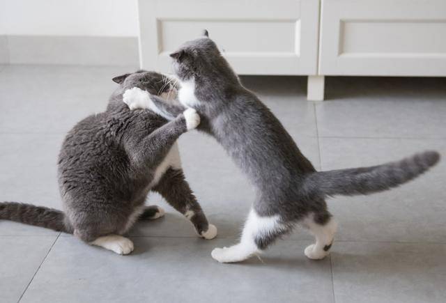 게티이미지뱅크