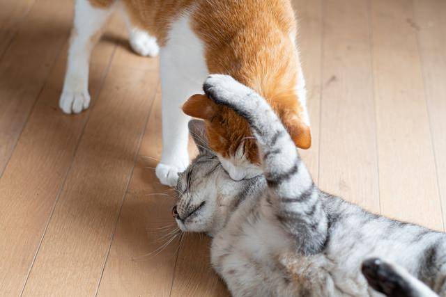 게티이미지뱅크