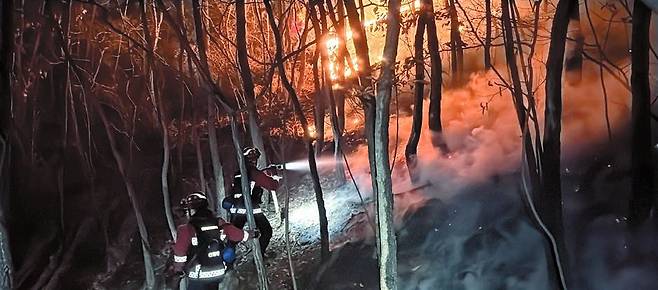 지난 2월 24일 경남 밀양시 삼랑진읍 산불현장에서 산림청 산불재난특수진화대원들이 진화작업을 하고 있다. 산림청은 올해 헬기 등 산불진화 장비와 인력을 대대적으로 확충했다. [연합뉴스]