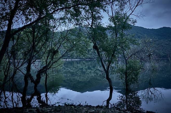 영화 ‘살목지’의 한 장면. 영화는 살목지 로드뷰에 정체불명의 형체가 찍히고, 재촬영을 위해 저수지로 향한 촬영팀이 검고 깊은 물 속의 무언가를 마주하게 되면서 벌어지는 이야기를 그린다. 사진 쇼박스