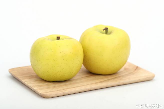 국산 사과품종 '골든볼' /사진=농촌진흥청