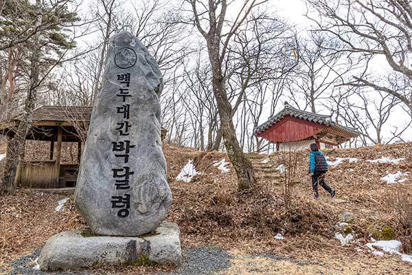 백두대간 주요 고개인 박달령.