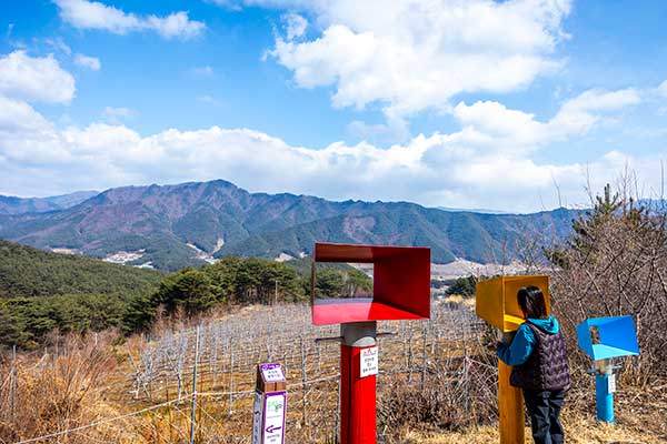 백두대간수목원 뒷길에 설치된 풍경액자.