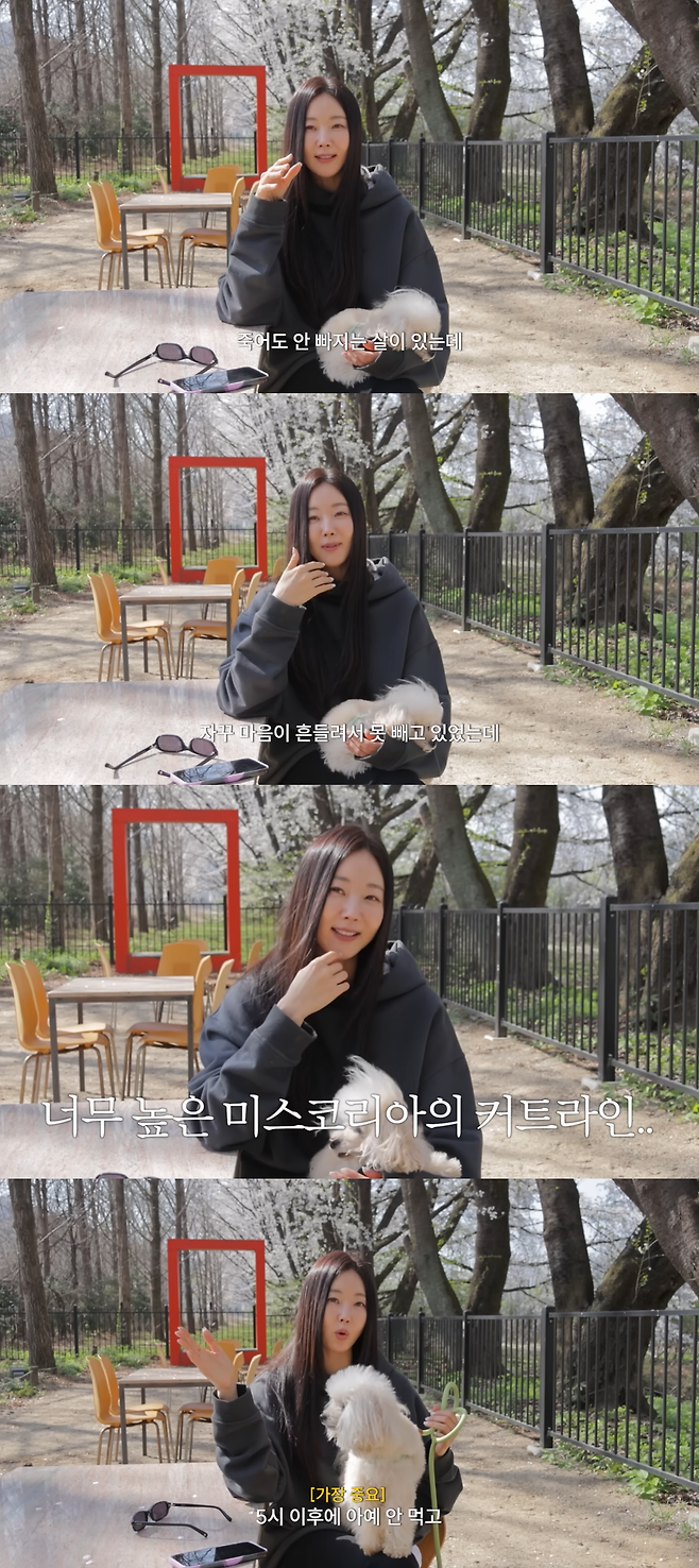 김사랑 유튜브