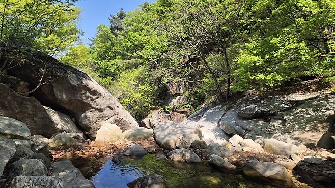 4월 하순 연둣빛 북한산 [촬영 김정선]