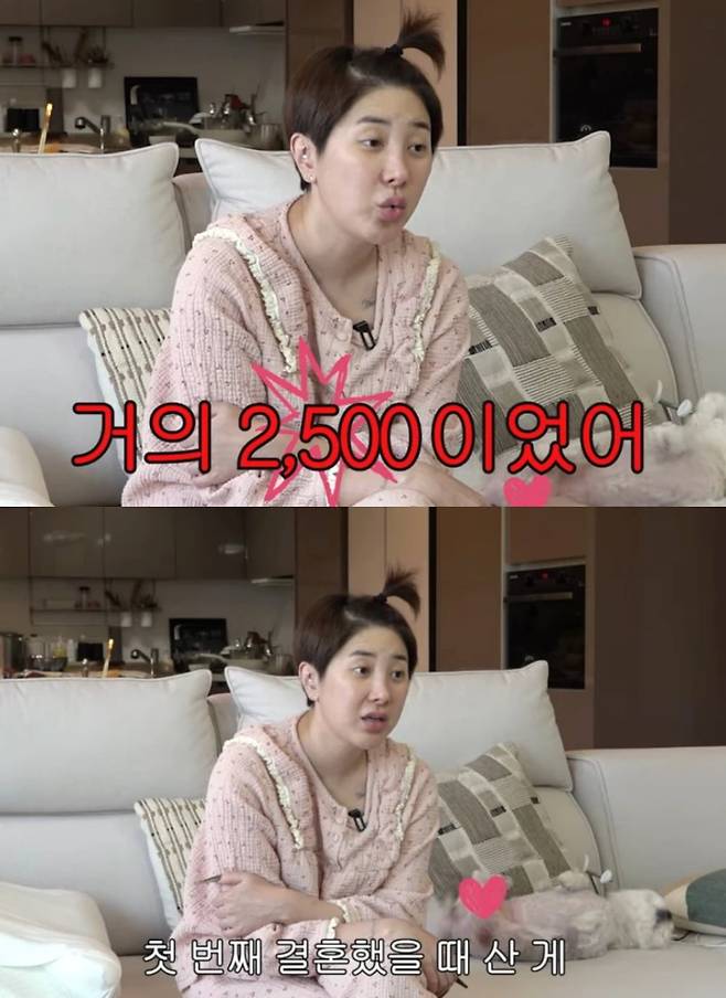 사진 = 유튜브 채널 '개과천선 서인영'