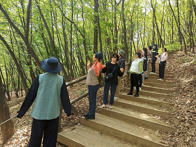 이달 중장년층을 대상으로 강서구 우장산에서 진행한 정원처방. 서울시 제공