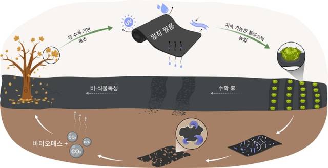 활용도가 낮은 낙엽을 업사이클링하여, 자연 토양에서 생분해되는 멀칭 필름으로 전환하는 친환경 전략과 지속가능한 플라스틱 농업(plasticulture) 적용 개념. 사진=카이스트 제공