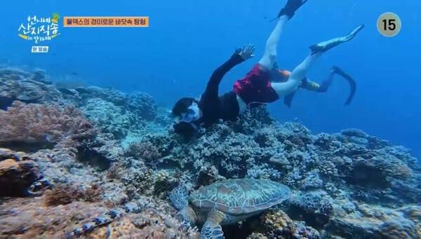 사진=방송 영상 캡처