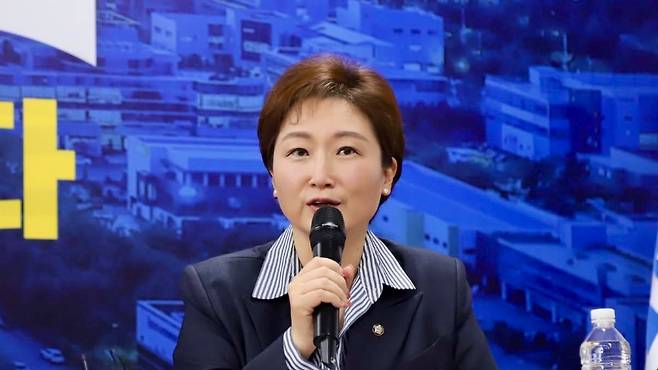 이언주 더불어민주당 최고위원. (본인 페이스북)