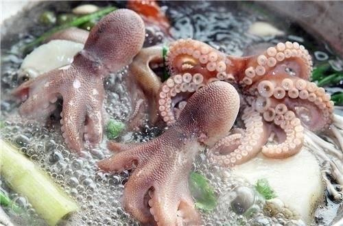 주꾸미 샤부샤부. 연합뉴스