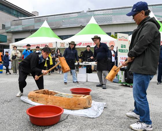 지난해 5월 강원 양구군 서천 레포츠공원에서 열린 '2025 청춘양구 곰취축제'에서 참가자들이 곰취 떡메치기를 체험하고 있다. [사진 양구군]