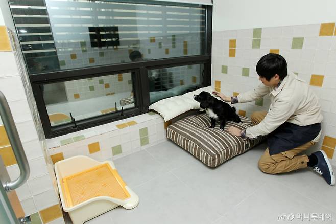 반려동물 전문기업 디비에스가 9일 오전 서울 청담동 구 엠넷빌딩에 '반려동물과 그 가족을 위한 행복도시'를 슬로건으로 하는 서비스 공간 '이리온'을 오픈하고 있다. /사진=머니투데이 DB