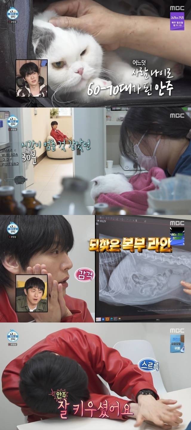 MBC ‘나 혼자 산다’ 캡처