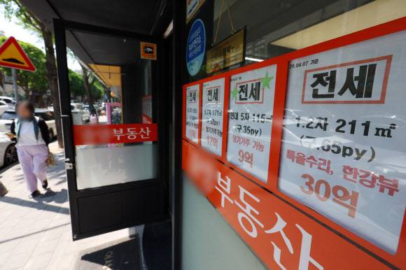 뉴시스