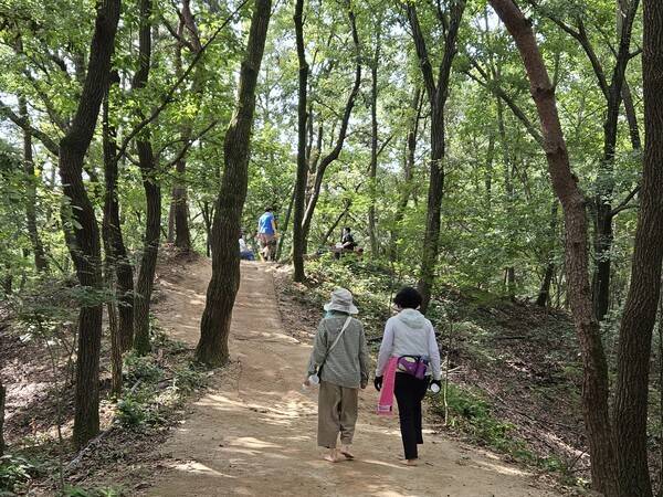삼죽국 사봉을 방문한 등산객들이 맨발로 산행을 즐기고 있다.