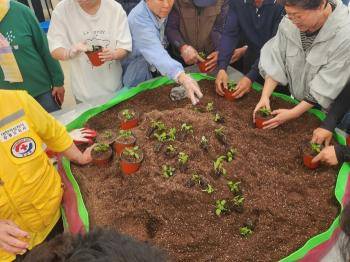 홍천 산나물축제/사진=홍천군