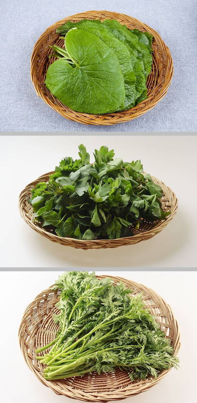 위에서부터 곰취, 방풍나물, 쑥갓. 클립아트코리아