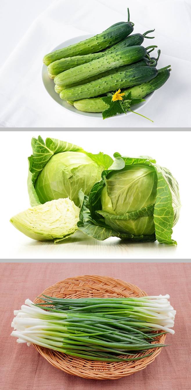 위에서부터 오이, 양배추, 쪽파. 클립아트코리아