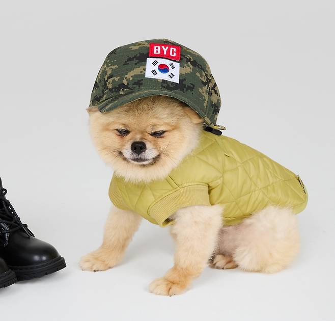 반려동물 의류 라인 '개리야스' 깔깔이 [BYC 제공]