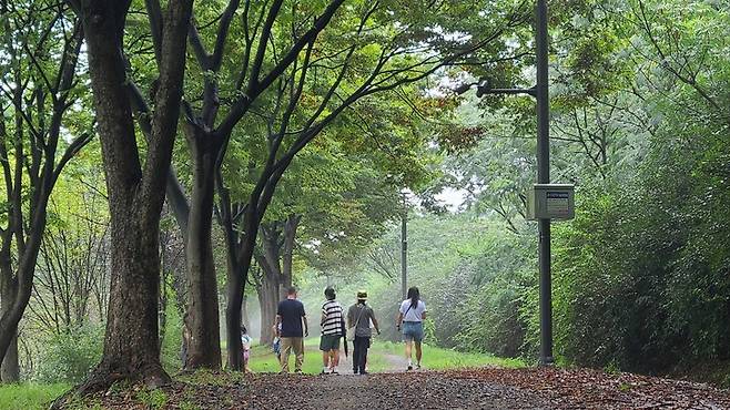 경륜경정총괄본부는 오는 16일부터 미사경정공원 숲 체험 교실을 운영한다.(사진 국민체육진흥공단 제공)