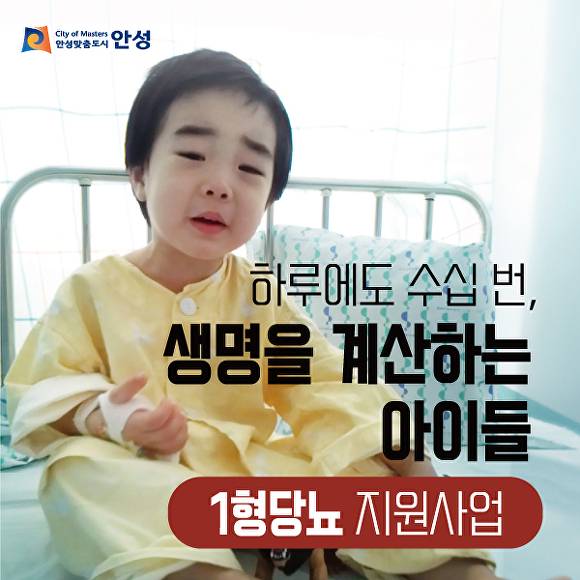고향사랑기부제 지정기부사업 포스터. [사진=안성시]