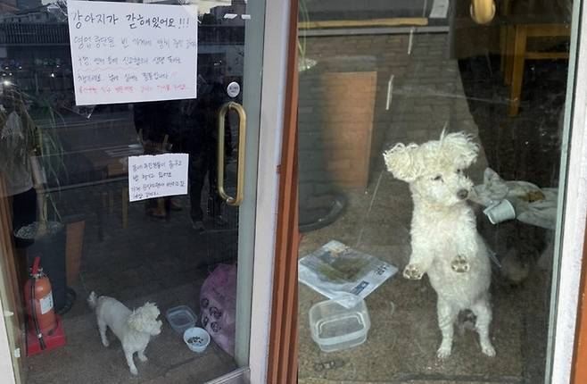 가수 성시경의 유튜브 채널에서 ‘맛집’으로 나왔던 서울 용산구의 한 횟집 업주가 가게를 폐업하고 반려견을 방치했다는 의혹이 제기돼 논란이 일었다. [사진출처 = 스레드]