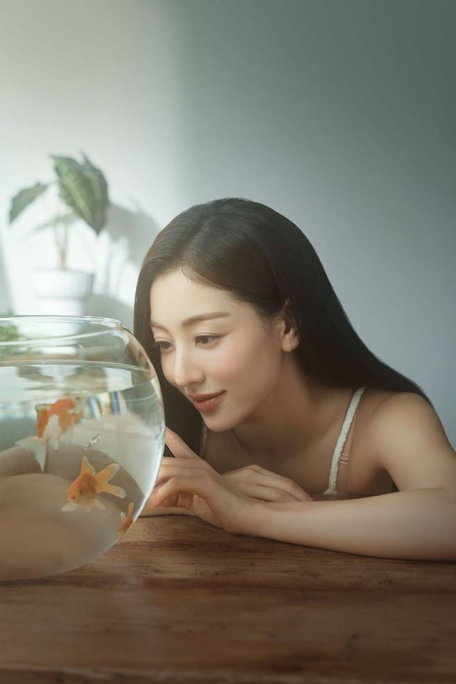 amPR 제공