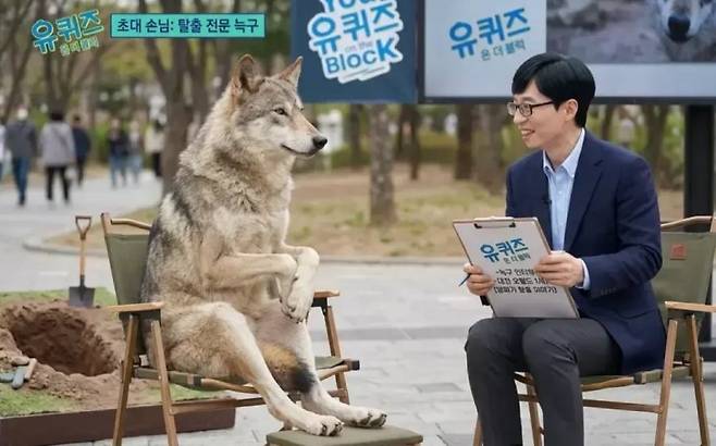 늑구가 TV 토크쇼 <유 퀴즈 온 더 블럭>에 출연한 것처럼 합성한 이미지가 사회관계망서비스(SNS)에서 회자됐다. SNS 캡처