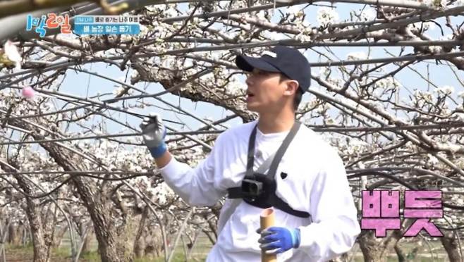 '1박 2일'