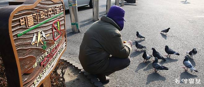 서울역 광장에 설치된 ‘비둘기 먹이주기 금지’ 표지판 앞에 한 시민이 음식물을 비둘기에게 주고 있다.