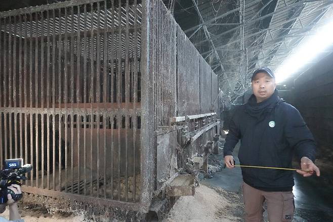 4일 경기 여주시 사육곰 농가에서 최태규 ‘곰 보금자리 프로젝트’ 대표가 사육장의 크기를 재고 있다. 김지숙 기자